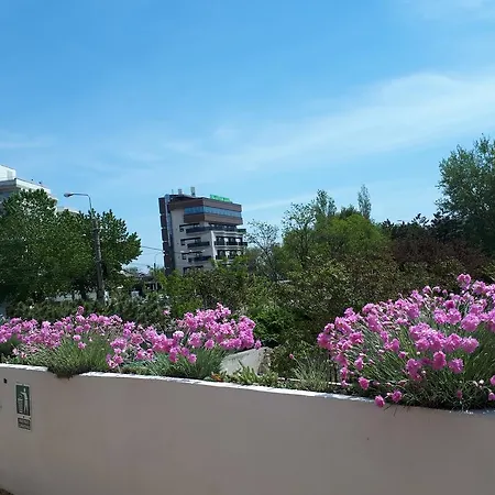 Vila Promesse Gasthuis Mamaia